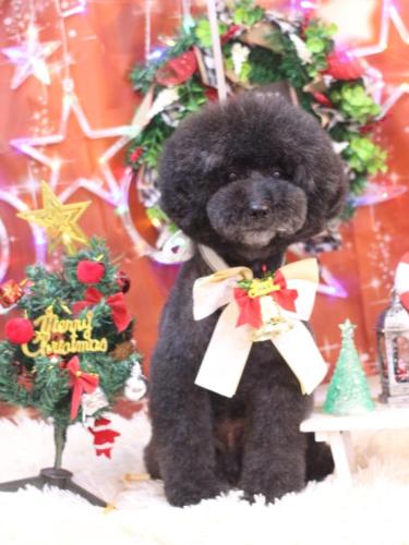 20231230ラブくん